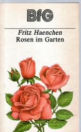 Rosen im Garten 