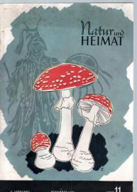 Natur und Heimat - 8. Jhg., Heft 11 Nov. 1950