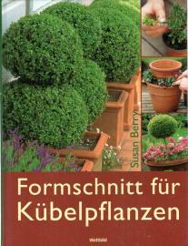 Formschnitt für Kübelpflanzen