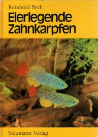 Eierlegende Zahnkarpfen