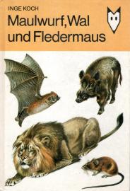 Maulwurf Wal und Fledermaus