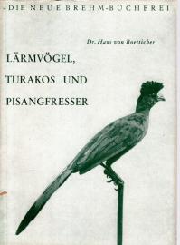 Lärmvögel Turakos Pisangfresser