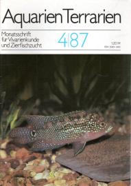 Aquarien Terrarien - Monatsschrift für Vivarienkunde und Zierfischzucht. 4/87