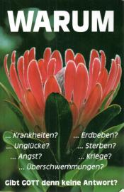 Warum Krankheiten ? Unglücke ? Angst ? Erdbeben ? Sterben ? Kriege ? Gibt Gott denn keine Antwort ?