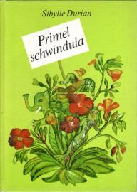Primel schwindula
