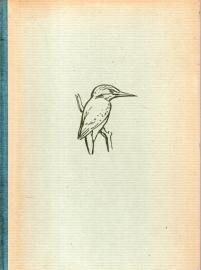 Vögel am Gebirgsbach