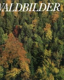 Waldbilder. Eine Exkursion in die heimischen Wälder