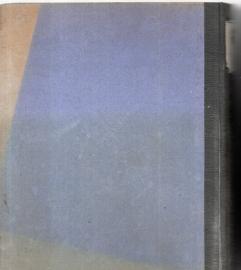 Reichs-Gesetzblatt 1917 