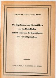 Die Begründung von Mischwäldern auf Großkahlflächen unter besonderer Berücksichtigung des Vorwaldgedankens