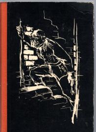 Zwei in der Nacht . Roman 