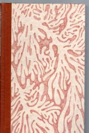 Der Zauberer Muzot - Roman