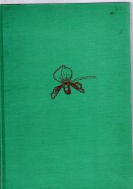 Blütenzauber der Orchideen