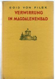 Verwirrung in Magdalenenbad, Roman