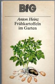 Frühkartoffeln im Garten.