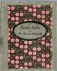 Junge Liebe. Eine Auswahl der schönsten Gedichte