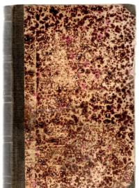 Nirwana. Zweiter Band 