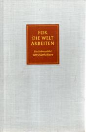Für die Welt arbeiten - Ein Lebensbild von Karl Marx