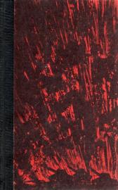 Der unstillbare Strom : Roman 