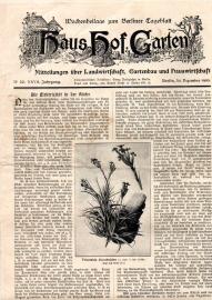 Haus Hof Garten : Wochenbeilage zu Berliner Tageblatt Nr 52, XXVII Jg., 30 Dez. 1905 